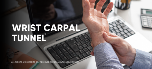 Wrist Carpal Tunnel