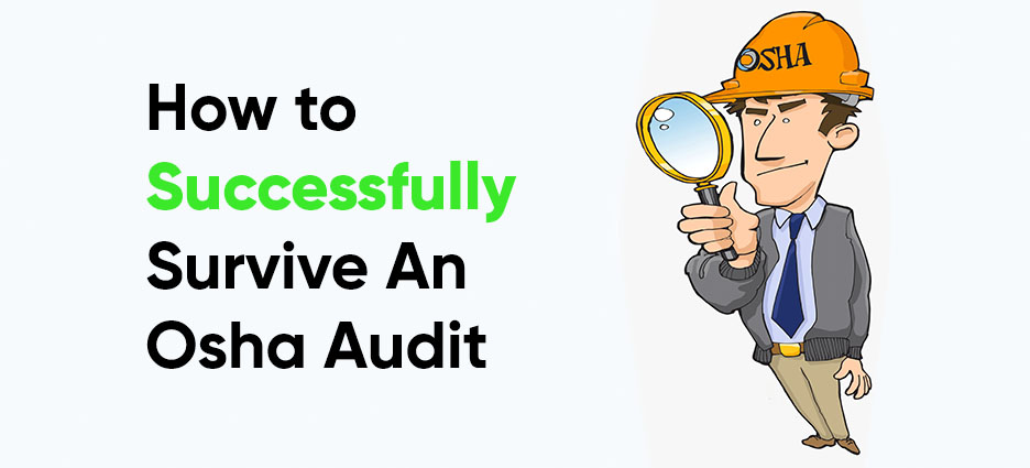 OSHA Auditor