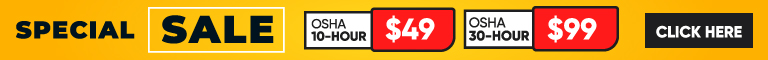 Special Sale Special Sale